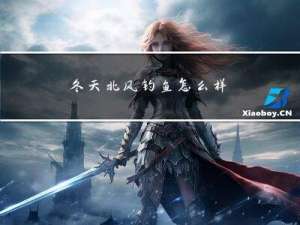 冬天北风钓鱼怎么样
