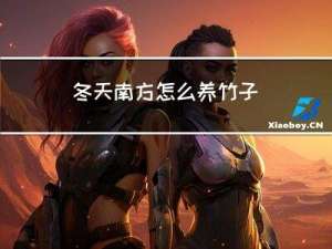 冬天南方怎么养竹子