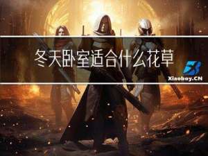 冬天卧室适合什么花草