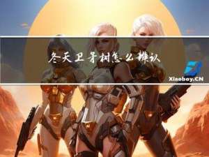 冬天卫矛树怎么辨认