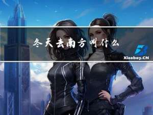 冬天去南方叫什么