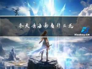 冬天去海南看什么花