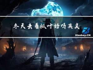 冬天去看枫叶好吗英文