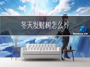 冬天发财树怎么养