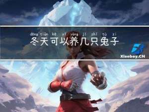 冬天可以养几只兔子