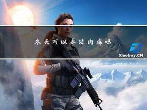冬天可以养殖肉鸡吗