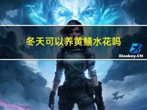 冬天可以养黄鳝水花吗