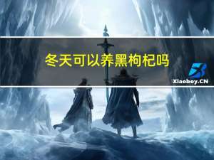 冬天可以养黑枸杞吗