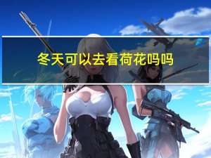 冬天可以去看荷花吗吗