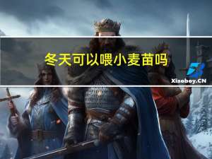 冬天可以喂小麦苗吗