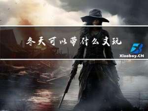 冬天可以带什么文玩