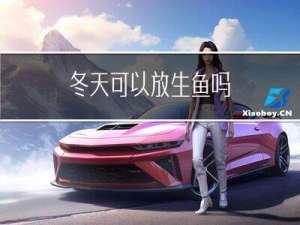 冬天可以放生鱼吗