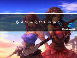 冬天可以浇什么植物花