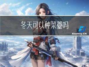 冬天可以种菜薹吗
