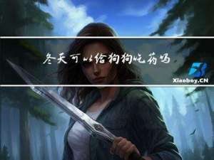 冬天可以给狗狗吃药吗