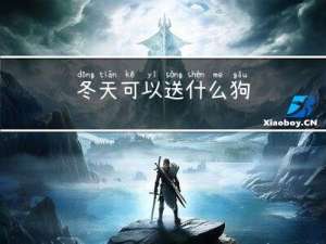 冬天可以送什么狗