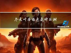 冬天叶子绿色是什么树