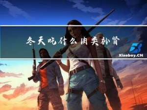 冬天吃什么肉类补肾