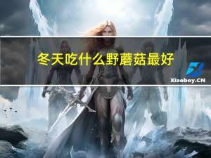 冬天吃什么野蘑菇最好