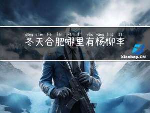 冬天合肥哪里有杨柳李