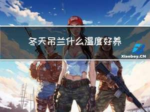 冬天吊兰什么温度好养