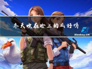 冬天吹在脸上的风好吗