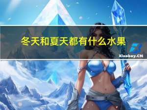 冬天和夏天都有什么水果