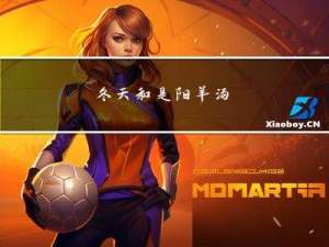 冬天和是阳羊汤