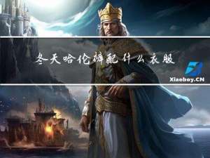 冬天哈伦裤配什么衣服