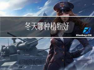 冬天哪种植物好