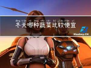 冬天哪种蔬菜比较便宜