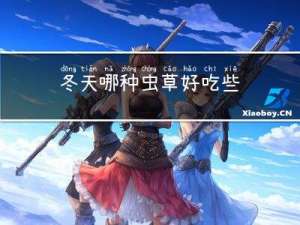 冬天哪种虫草好吃些