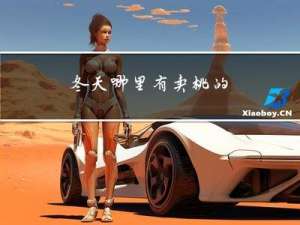 冬天哪里有卖桃的