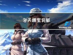 冬天哪里有草