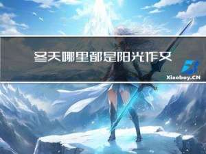 冬天哪里都是阳光作文