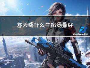 冬天喝什么牛奶汤最好