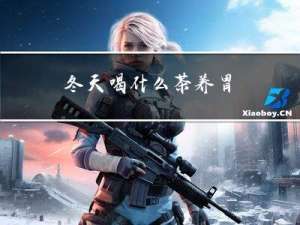 冬天喝什么茶养胃