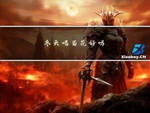 冬天喝菊花好吗