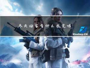 冬天回家有什么感觉吗