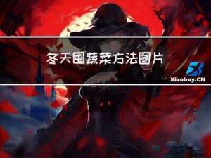 冬天囤蔬菜方法图片