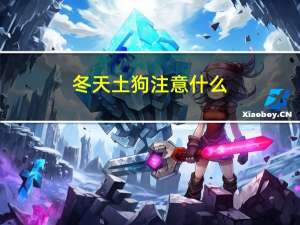 冬天土狗注意什么