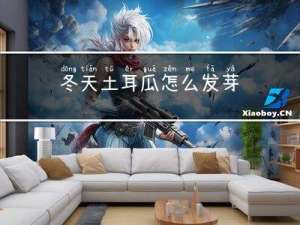 冬天土耳瓜怎么发芽