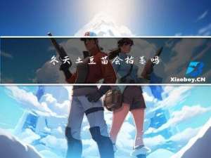 冬天土豆苗会枯萎吗