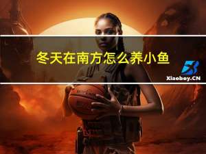 冬天在南方怎么养小鱼