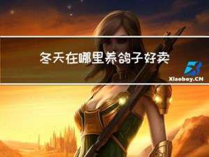 冬天在哪里养鸽子好卖