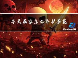 冬天在家怎么养护茶花叶