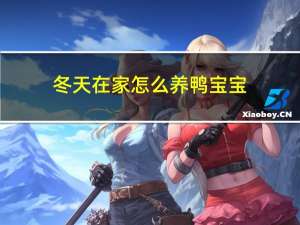 冬天在家怎么养鸭宝宝