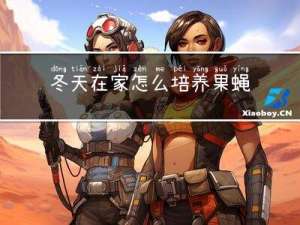 冬天在家怎么培养果蝇视频