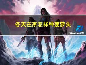 冬天在家怎样种菠萝头