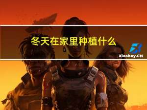 冬天在家里种植什么